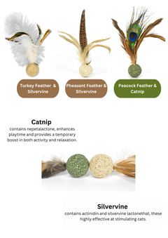 Silvervine / Catnip Birdie-2