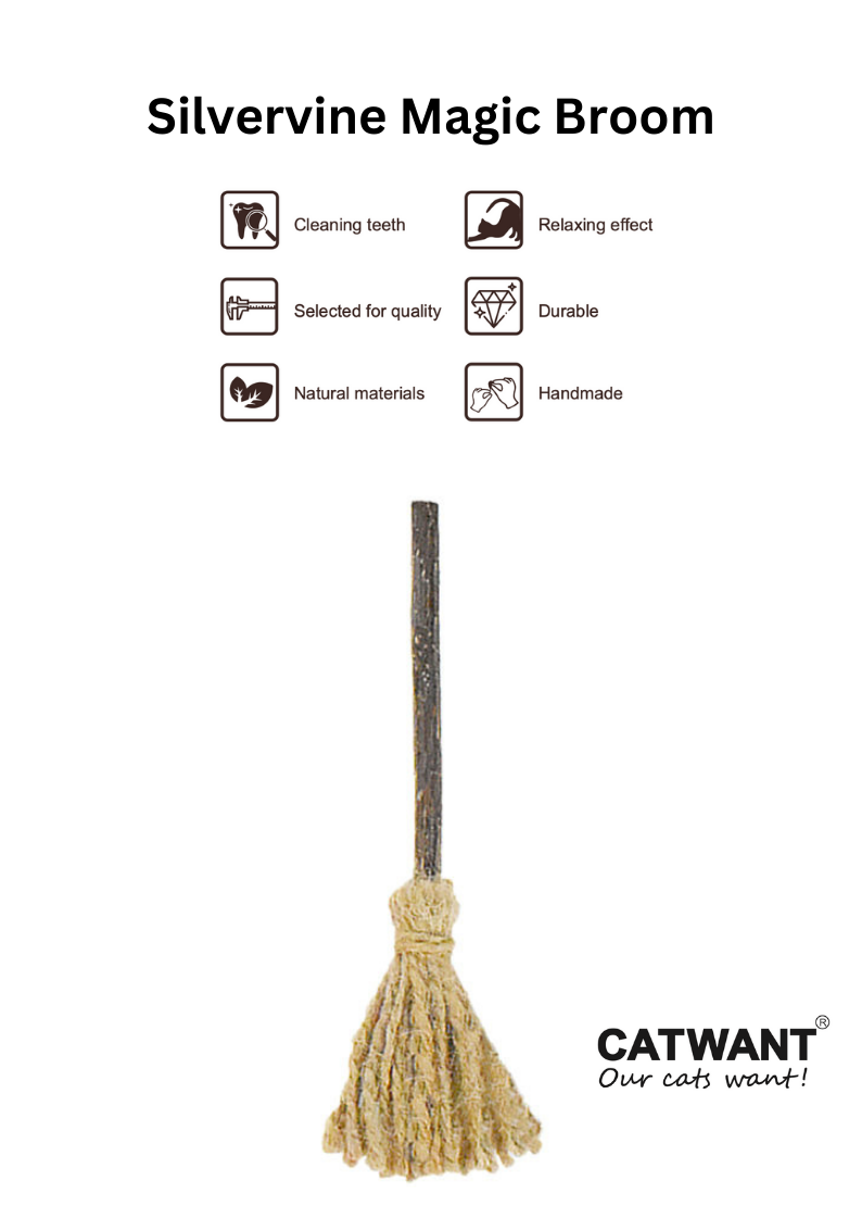 Silvervine Magic Broom-1