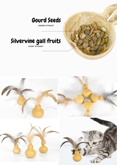 Silvervine Gall Fruit Gourd-2