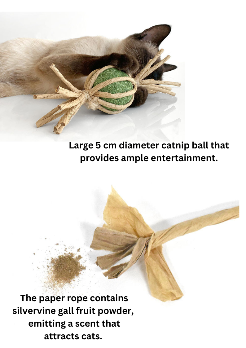 Woven Silvervine Gall Fruit Candy With Catnip Ball-2