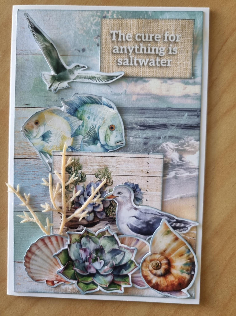 3Quarter Designs Coastal Boardwalk 6x4 Card Pack-6