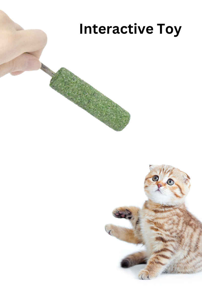 Silvervine Gall Fruit Popsicle-2