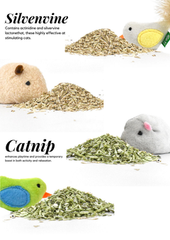 Catnip/Silvervine Small Pet Toys-3
