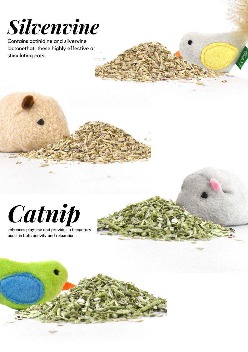 Catnip/Silvervine Small Pet Toys-3
