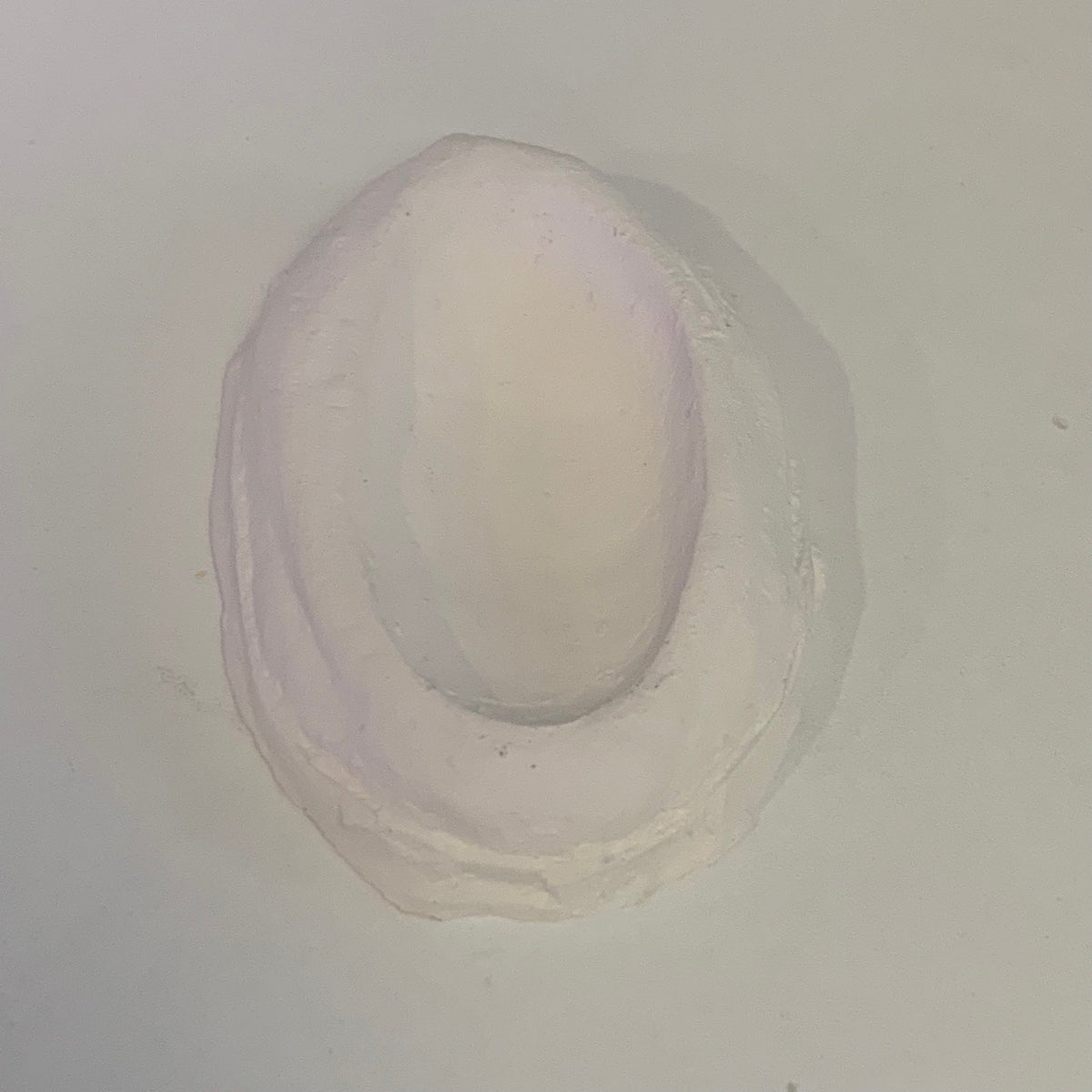 Ceramic Clam Holder