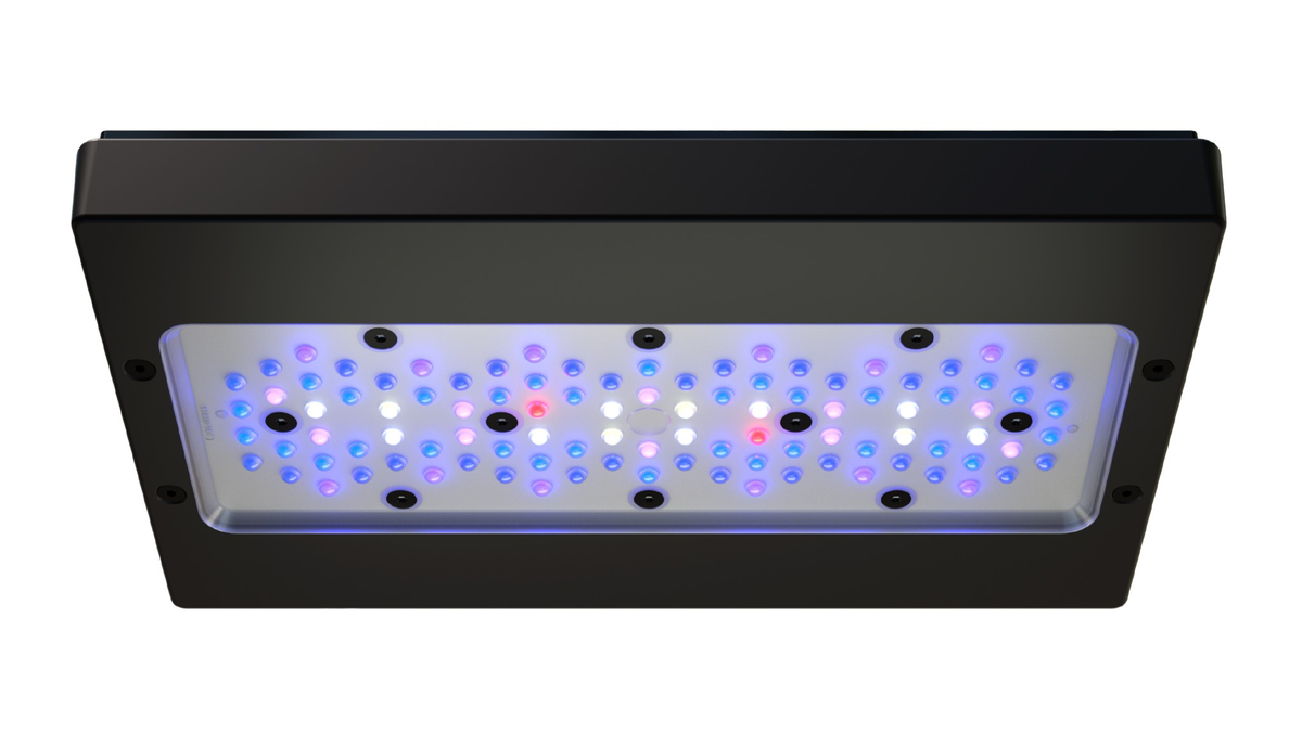 Ecotech Marine Radion G6-3