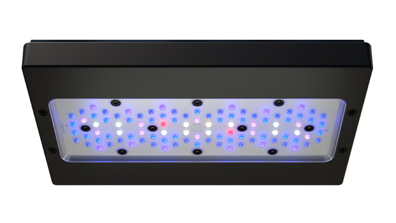Ecotech Marine Radion G6-3