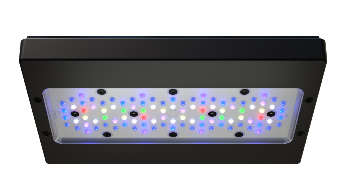 Ecotech Marine Radion G6-4