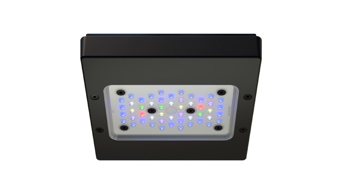 Ecotech Marine Radion G6-2
