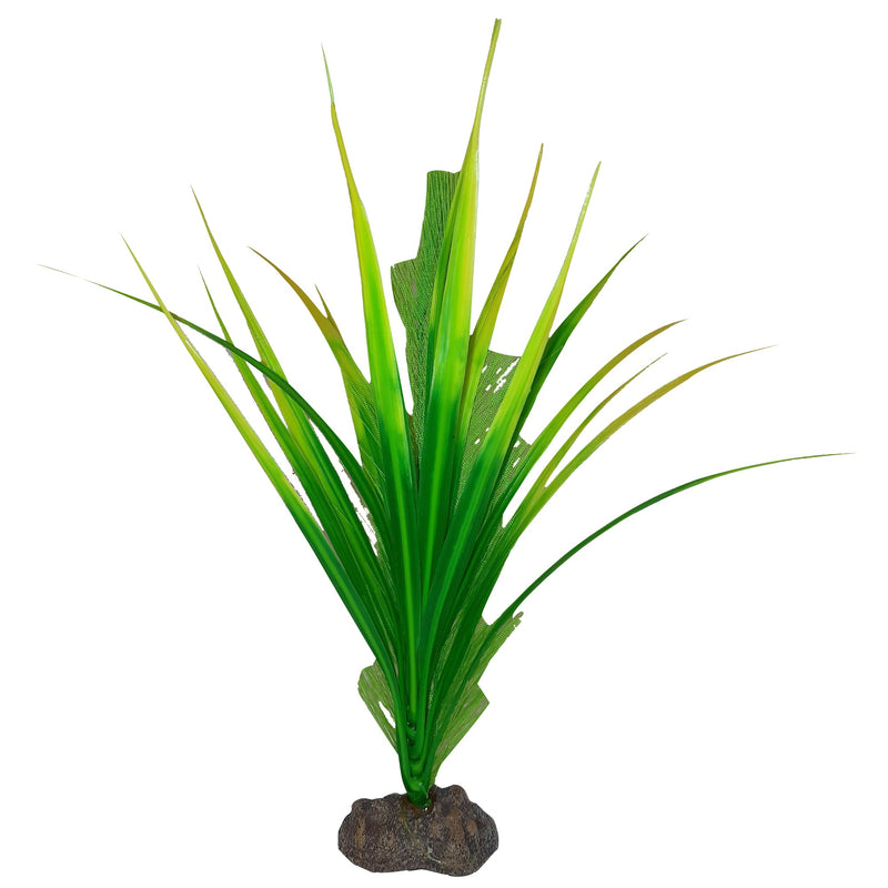 Fluval Betta Premium Yellow Parrot Plant, 8 in / 20 cm-1