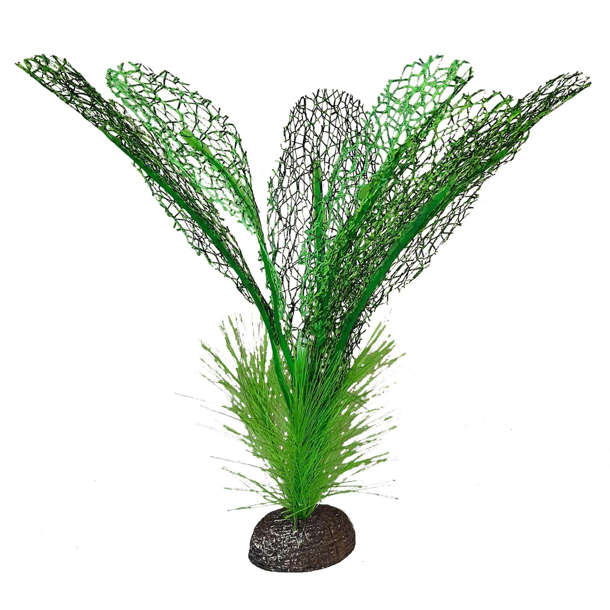 Fluval Betta Premium Madagascar Lace Plant, 6 in /15 cm-1