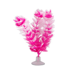 Plante queue de renard Marina Betta avec ventouse - 12,7 cm (5 po)-1