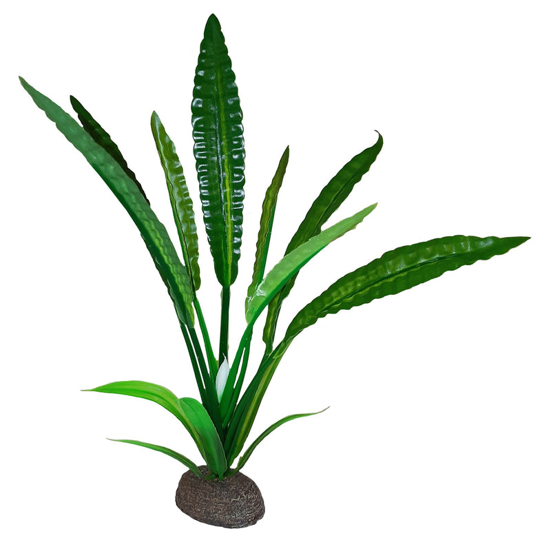 Fluval Betta Premium Water Trumpet Plant, 8 in / 20 cm-1