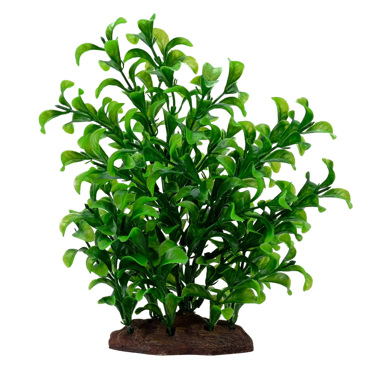 Fluval Aqualife Plant Scapes Large Bacopa Plant - 20 cm (8 in)-1
