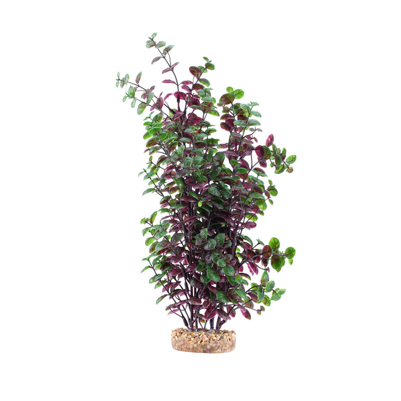Fluval Aqualife Plant Scapes Red Bacopa - 35.5 cm (14 in)-1