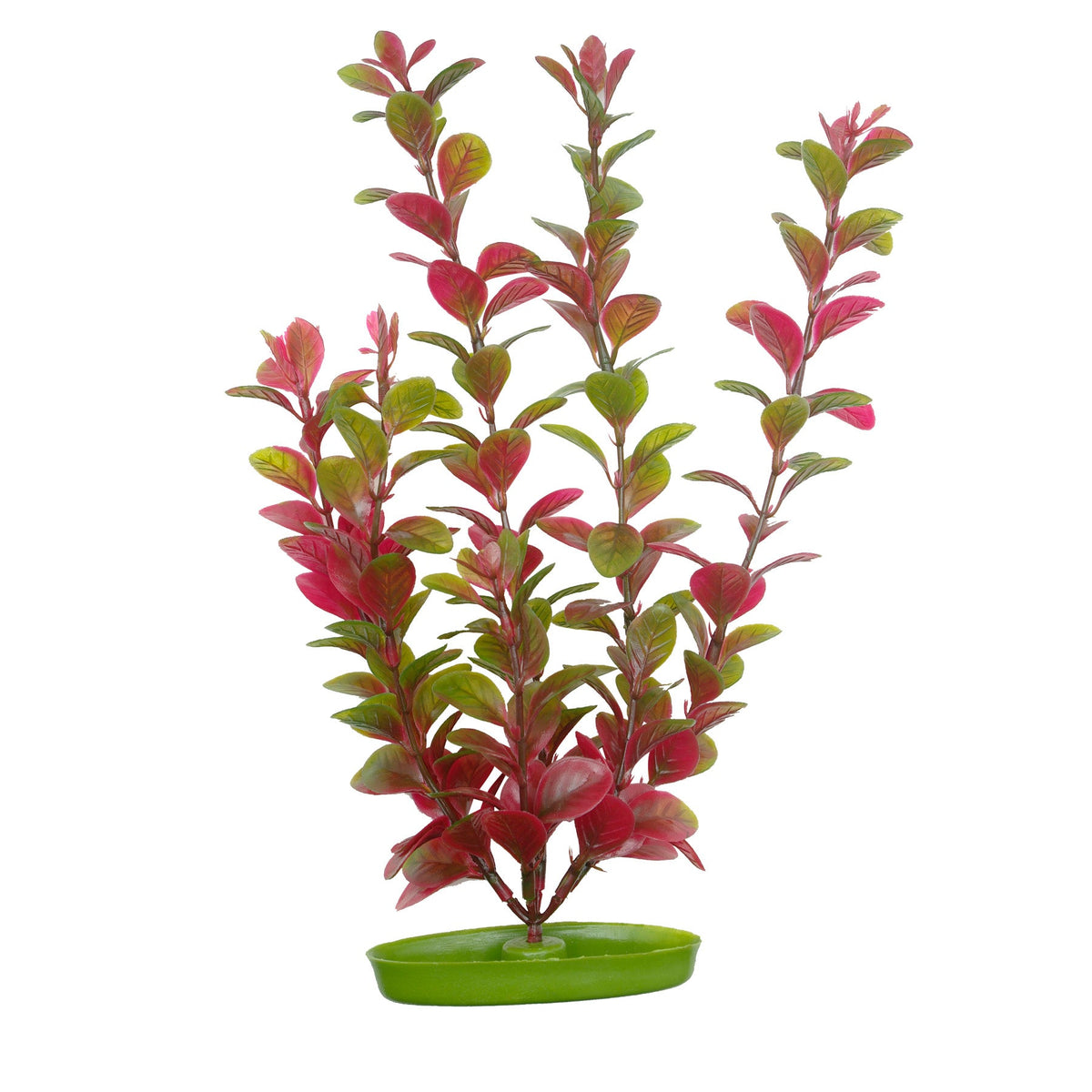 Plante en plastique Marina Aquascaper, Ludwigia rouge, 30 cm (12 po)-1