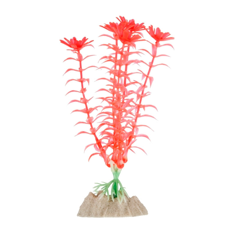 GloFish Plant Medium Orange-1