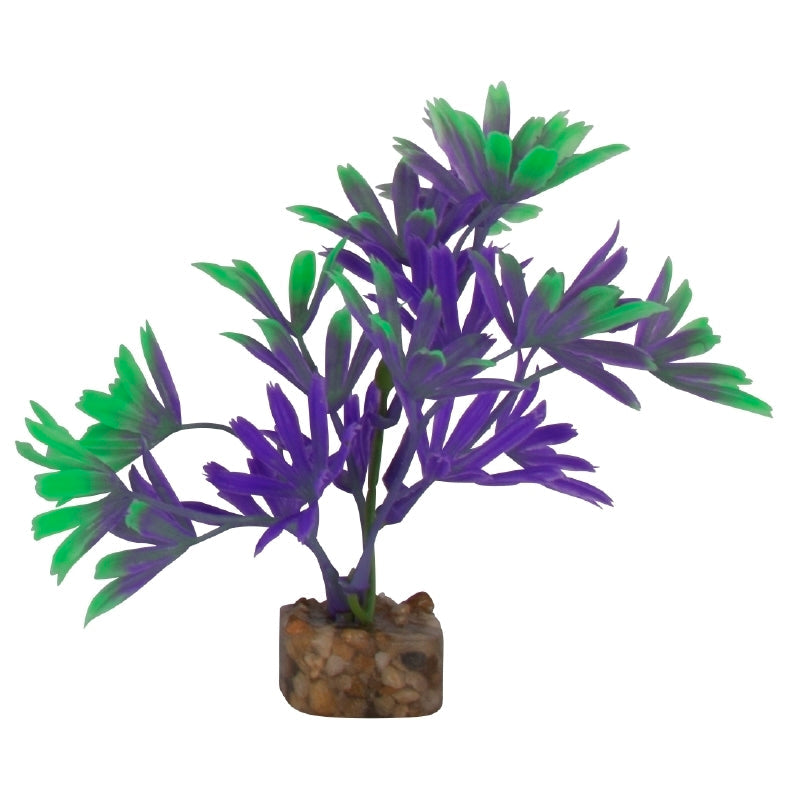GloFish Plant Small Purple/Green-1
