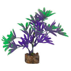 GloFish Plant Small Purple/Green-1