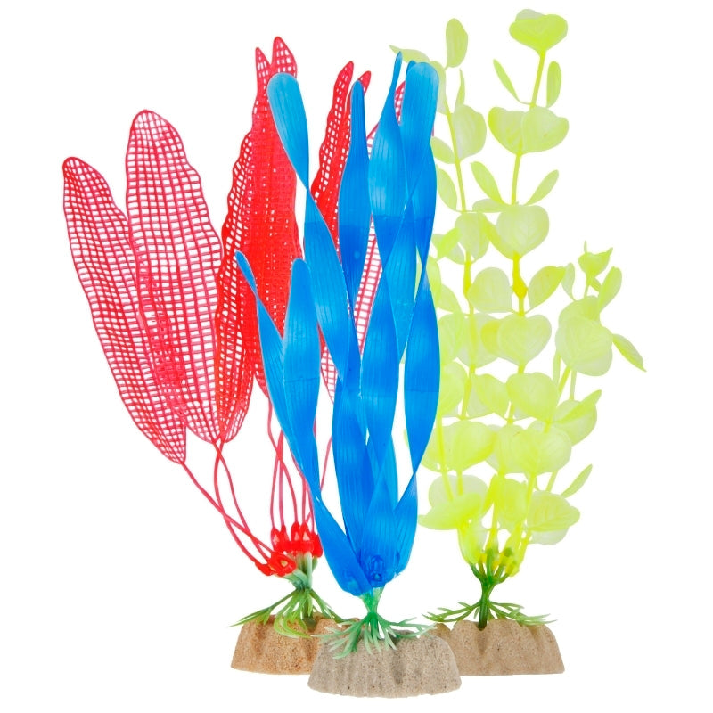 GloFish Plant Multipack MD Yellow, MD Orange, LG Blue-1