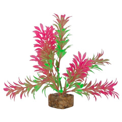 GloFish Plant Small Green/Pink-1