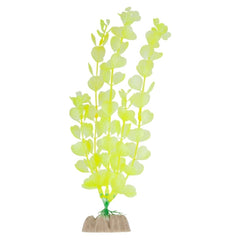 Plante GloFish grande jaune-1