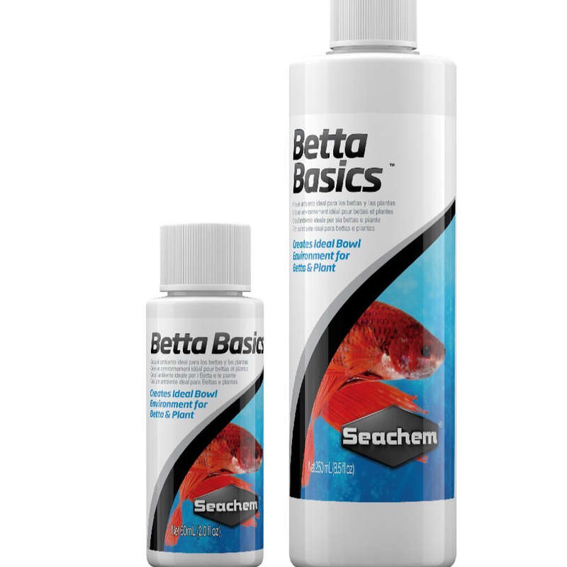 Betta Basics-1