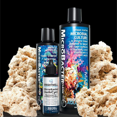 Brightwell Aquatics MicroBacter Dry Rock Bacteria Starter kit-1