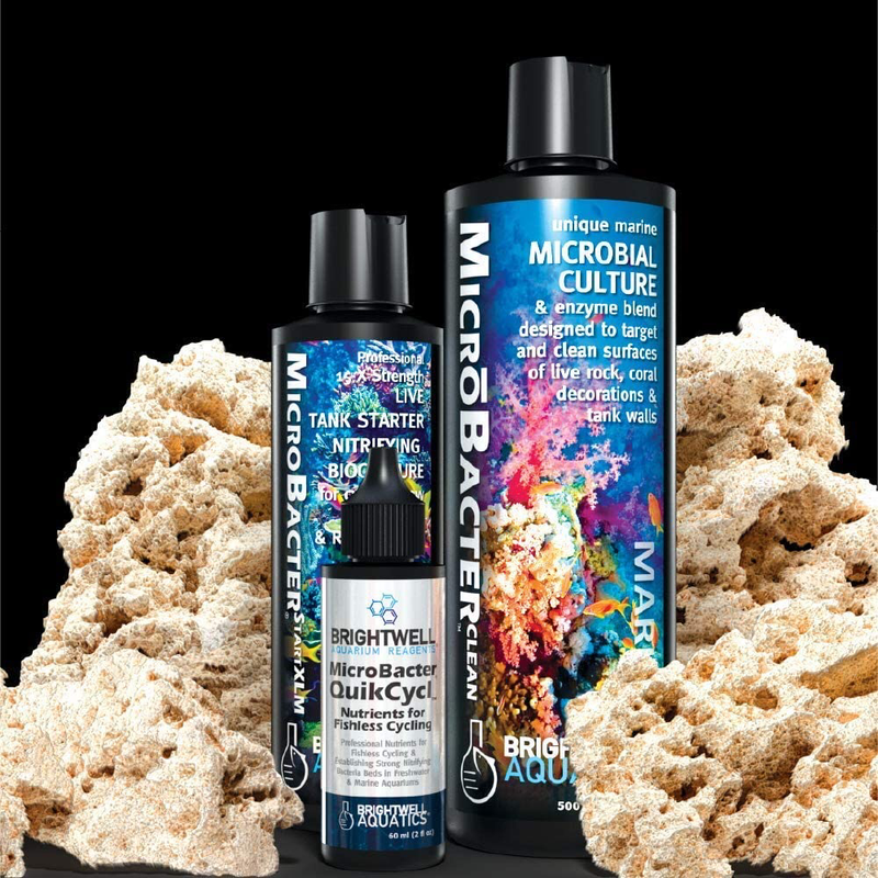 Brightwell Aquatics MicroBacter Dry Rock Bacteria Starter kit-1
