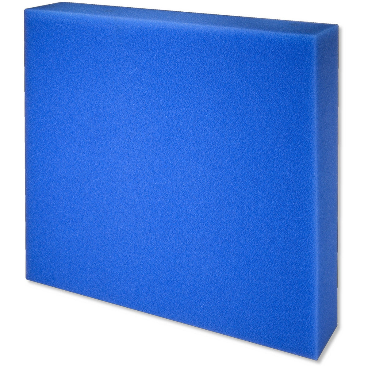 Espuma filtrante JBL 50 x 50 x 5 cm (fina o gruesa)