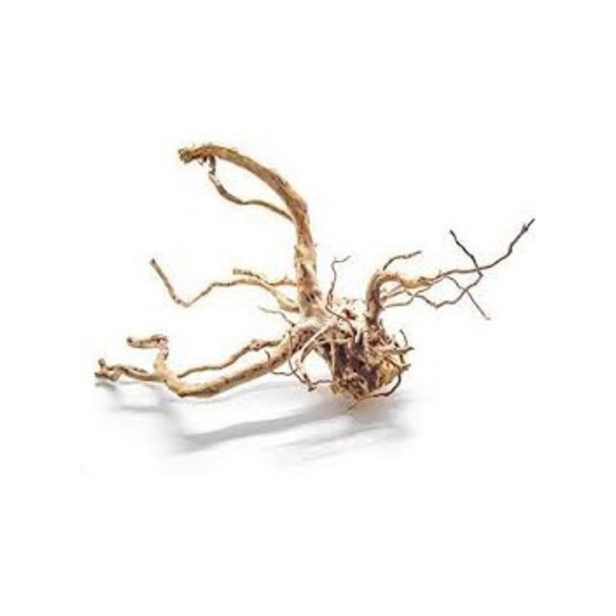 Aquaglobe Spider Wood-1