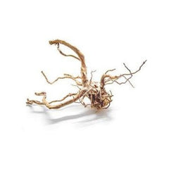 Aquaglobe Spider Wood-1