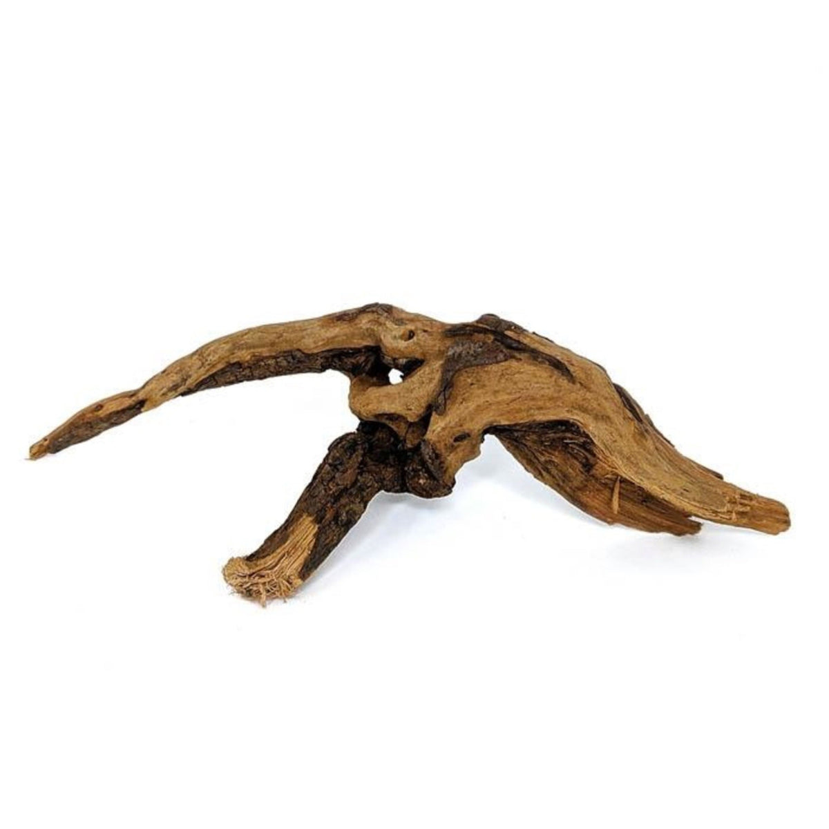Aquaglobe Pacific Wood-1