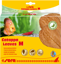 Hojas de Catappa Sera 10 uds.-2