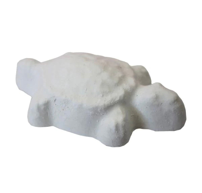 Versele Laga Turtle Calcium & Neutralizer Block-1
