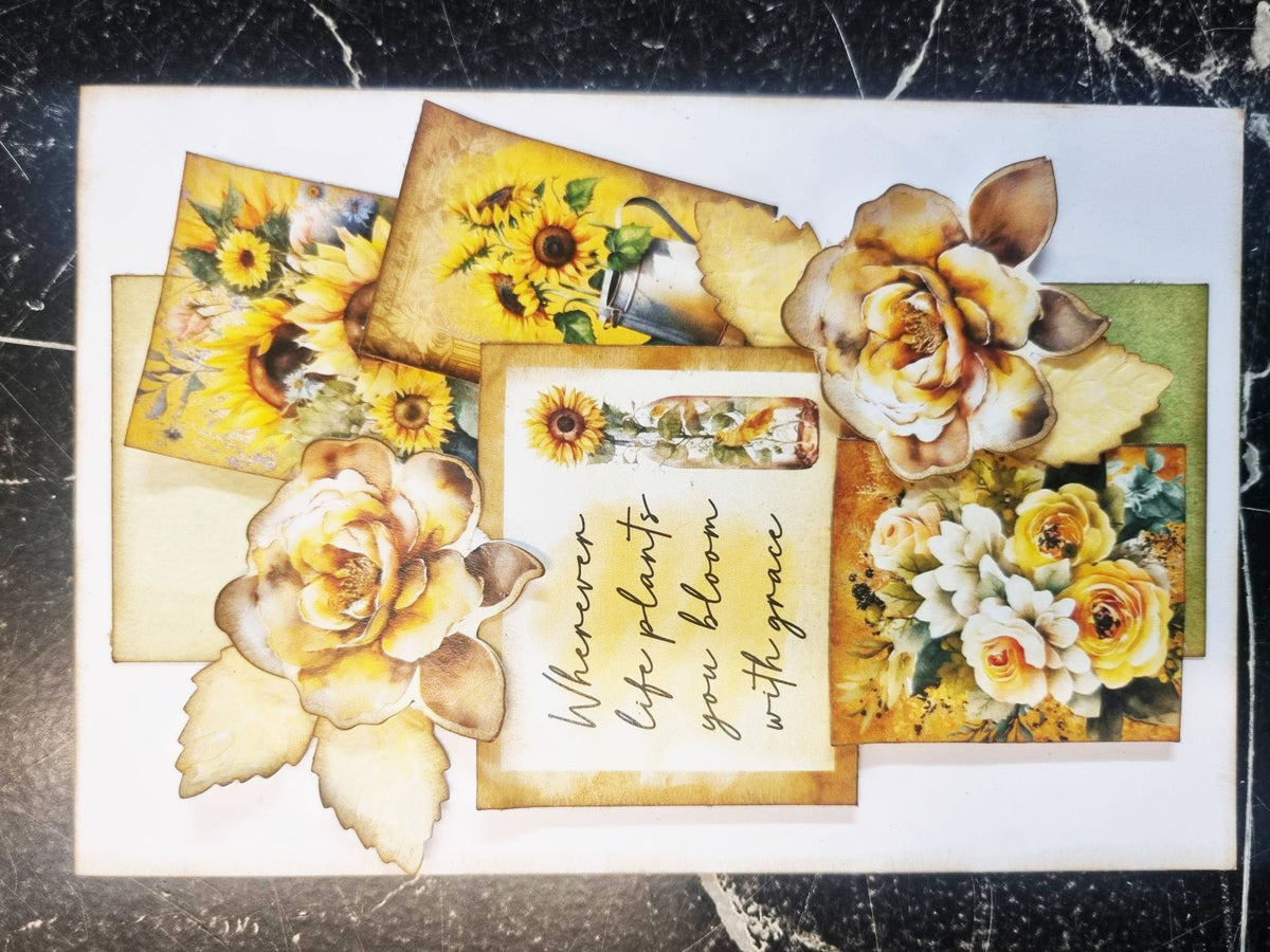 Pack de cartes Élixir de Tournesol 6x4-21