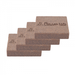 Lot de 4 roches Polyplab Genesis-1