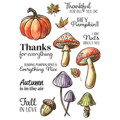 Vaessen Creative • Clear Stamps Hey Pumpkin 16pcs-3