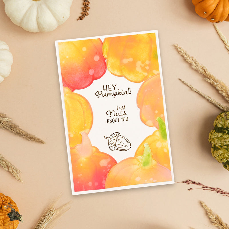 Vaessen Creative • Clear Stamps Hey Pumpkin 16pcs-4