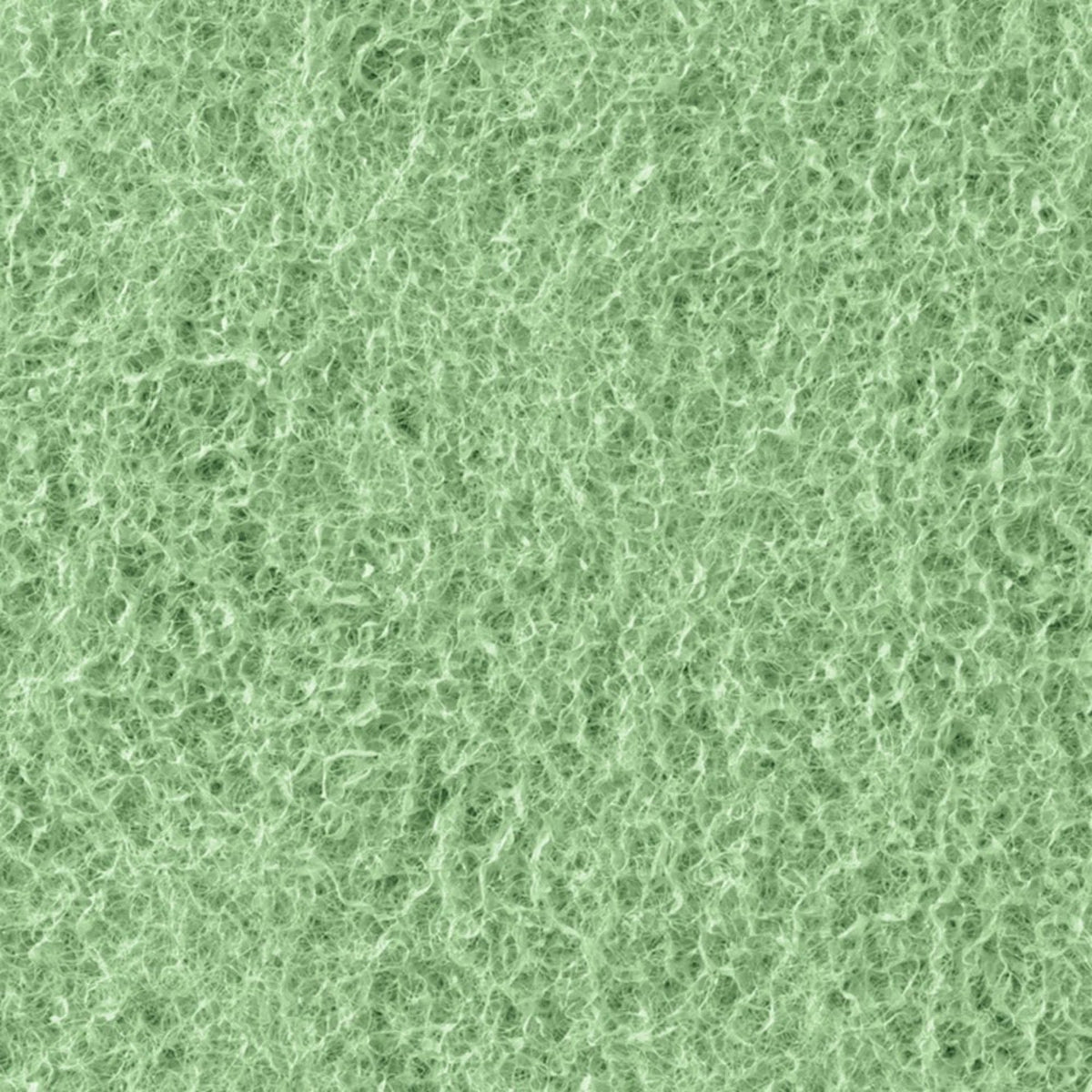 Phosphate Remover Pad