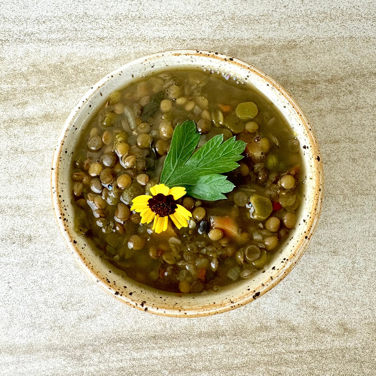 HERB GARDEN SOUP: HOLY BASIL + ASHWAGANDHA POTTAGE-2