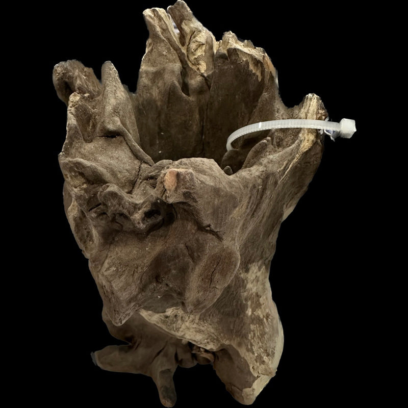 Aquaglobe Stump Wood-1