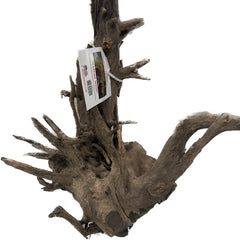 Aquaglobe Janglewood-1