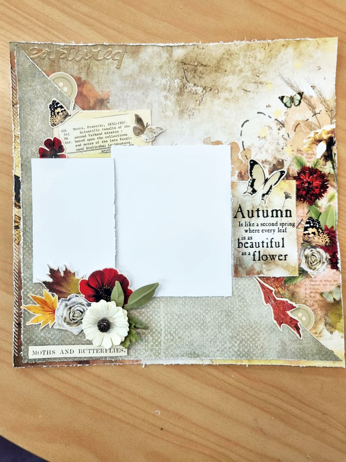 3Quarter Designs - 12" X12" Paper Pack - Autumn Butterfly-6
