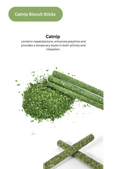 Silvervine Gall Fruit / Catnip Biscuit Sticks - 8pcs-3