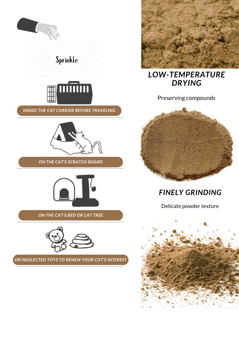 Silvervine Gall Fruit Powder-3