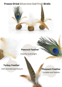 Freeze Dried Silvervine Gall Fruit Toys-3