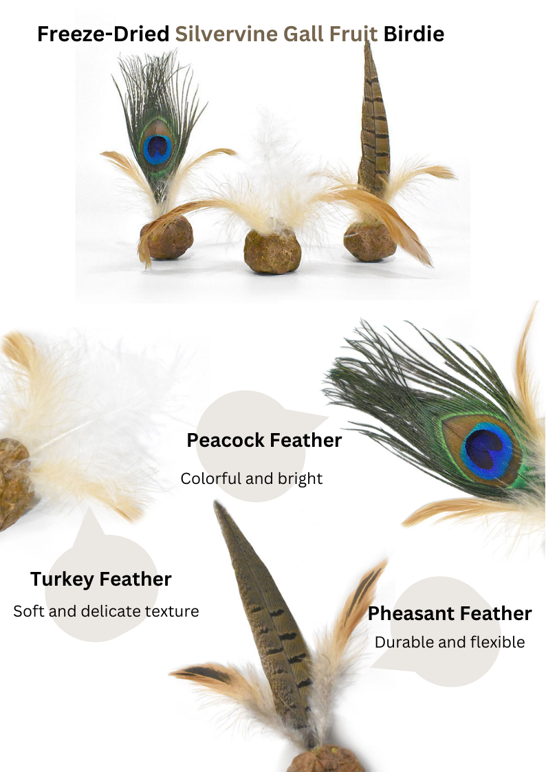Freeze Dried Silvervine Gall Fruit Toys-3