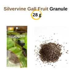 Silvervine Gall Fruit Powder-6