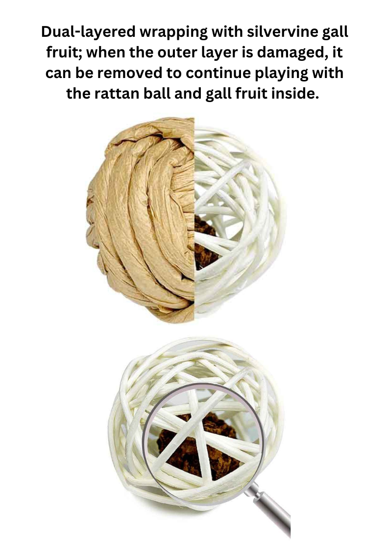 Woven Silvervine Gall Fruit Ball-3